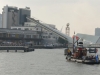 DSC01351.JPG