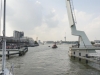 DSC01356.JPG