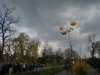 DSC05010